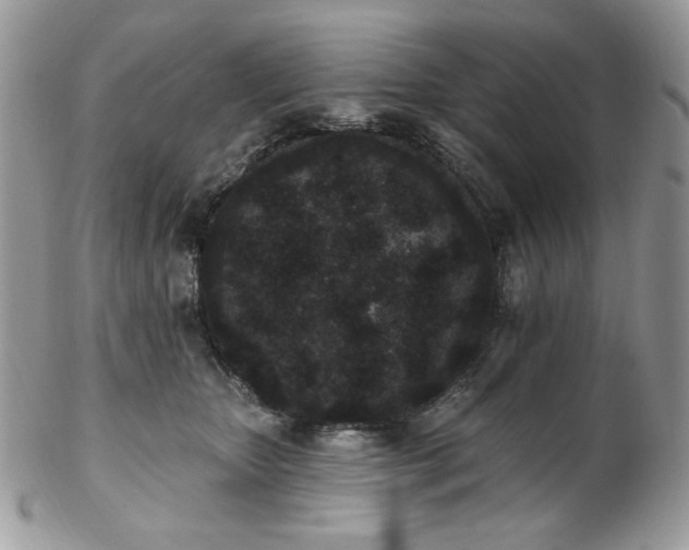 X0000102810467200808181227