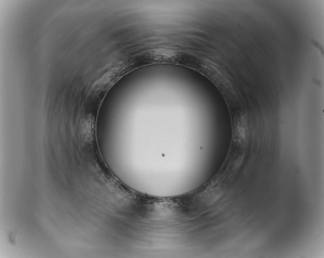 X0000102810468200808181227