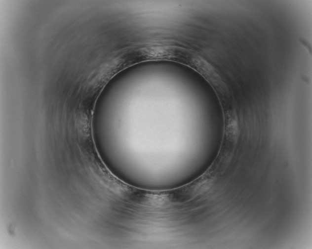 X0000102810469200808181227