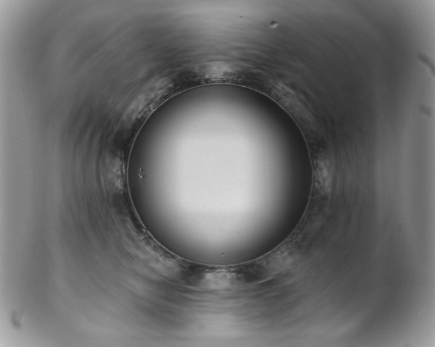 X0000102810470200808181227