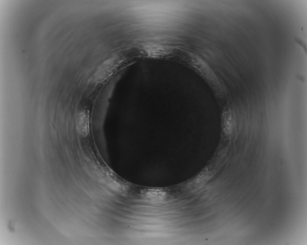 X0000102810471200808181227