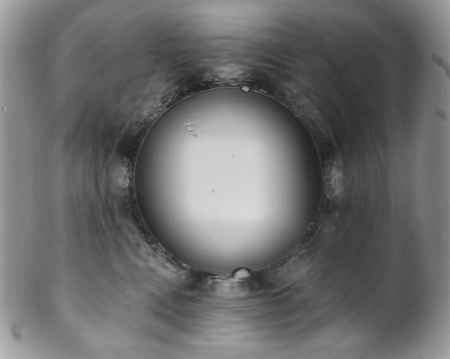 X0000102810472200808181227