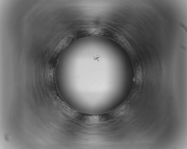 X0000102810473200808181227