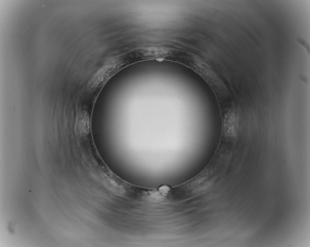 X0000102810474200808181227