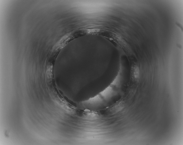 X0000102810475200808181227