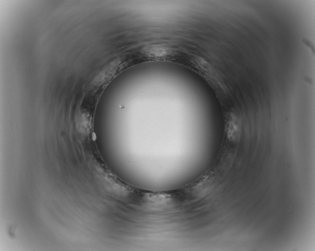 X0000102810476200808181227