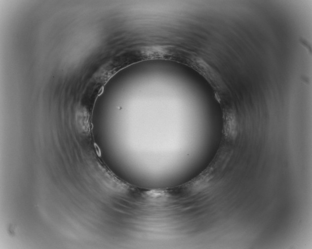 X0000102810477200808181227