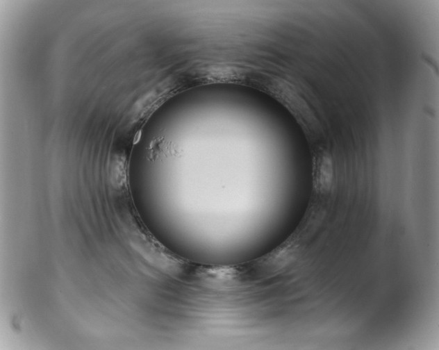 X0000102810478200808181227