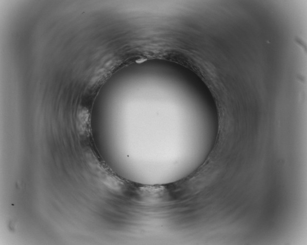 X0000102810480200808181227