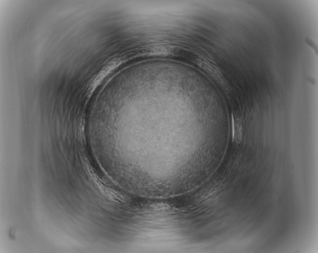 X0000102810483200808181227