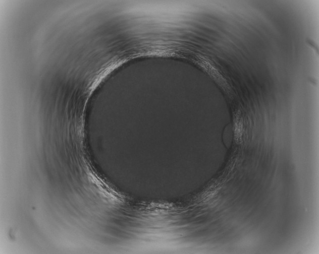 X0000102810484200808181227