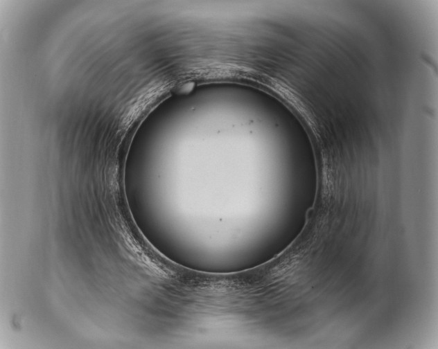 X0000102810485200808181227