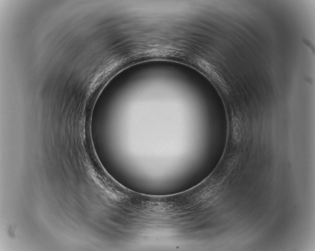 X0000102810486200808181227