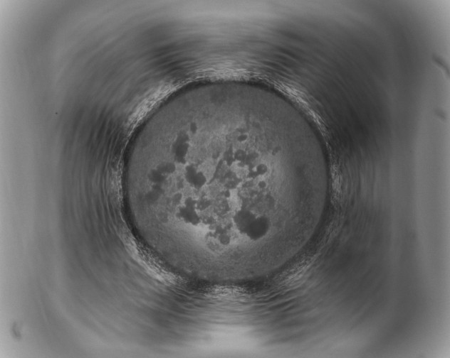 X0000102810487200808181227