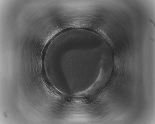 X0000102810488200808181227