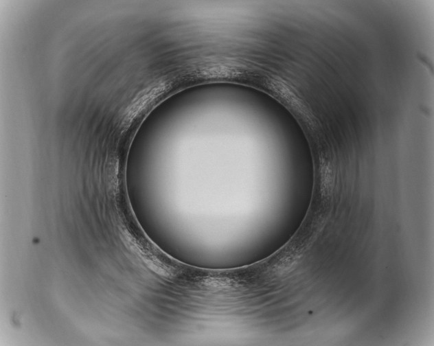 X0000102810490200808181227