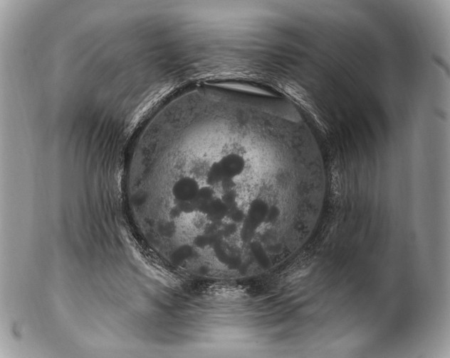 X0000102810491200808181227