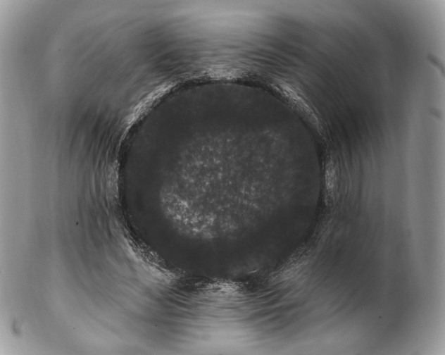 X0000102810492200808181227