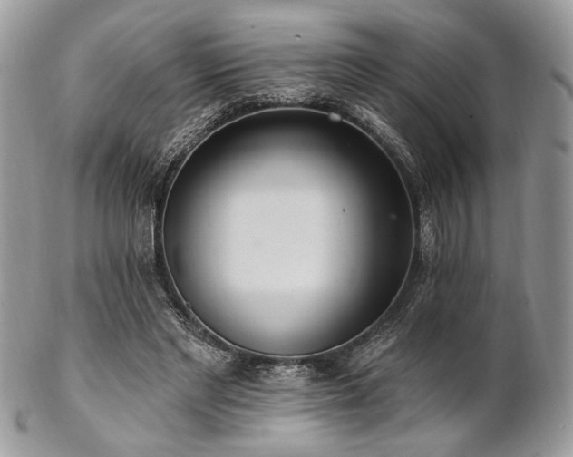 X0000102810493200808181227