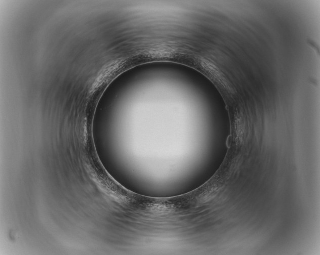 X0000102810494200808181227