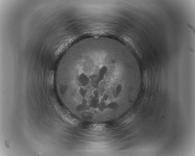 X0000102810495200808181227