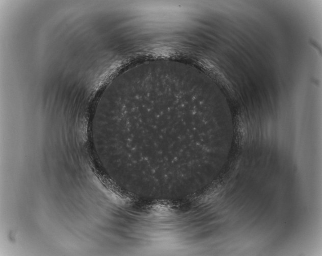 X0000102810496200808181227