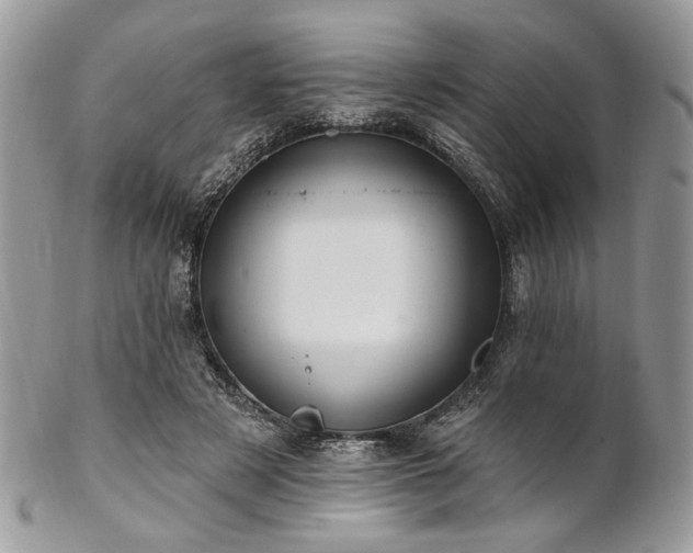 X0000102810497200808181226