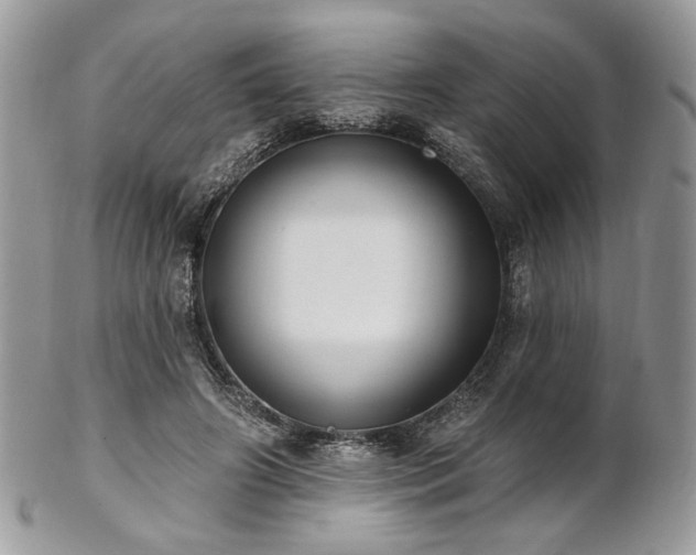 X0000102810498200808181226