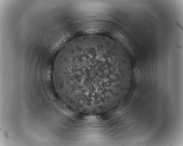 X0000102810499200808181226