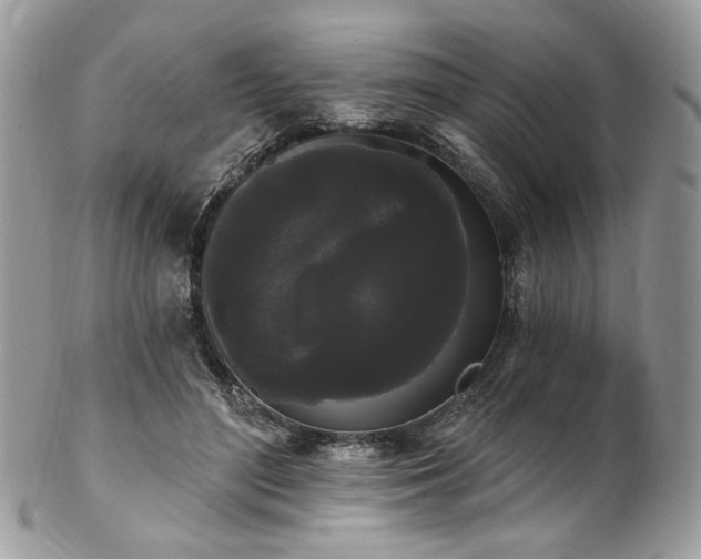 X0000102810500200808181226