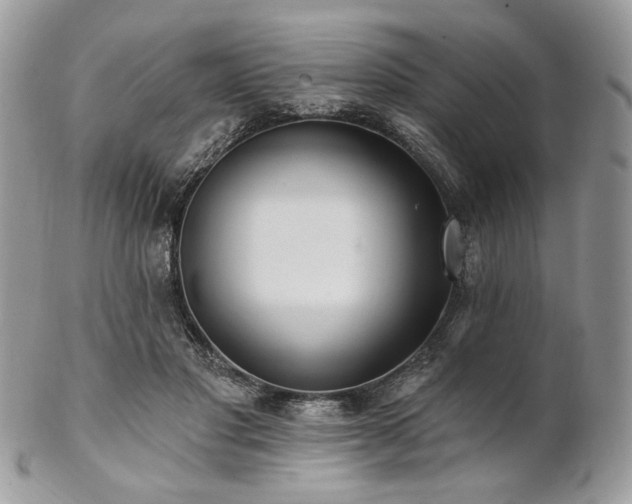 X0000102810501200808181226