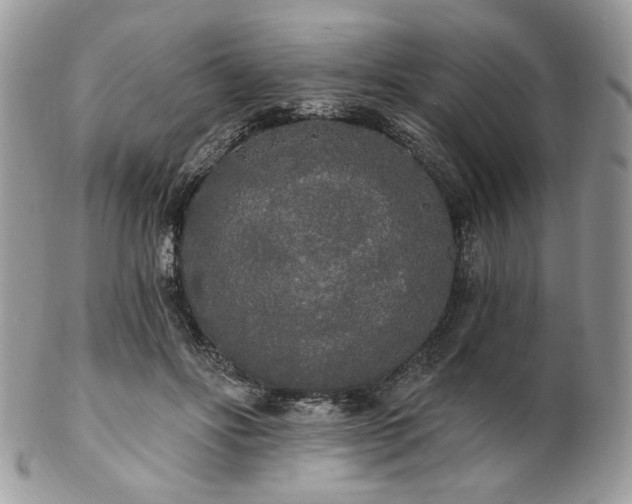 X0000102810502200808181226