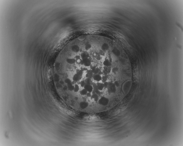 X0000102810503200808181226