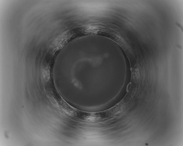 X0000102810504200808181226