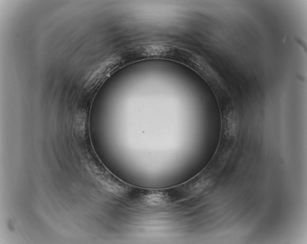 X0000102810505200808181226