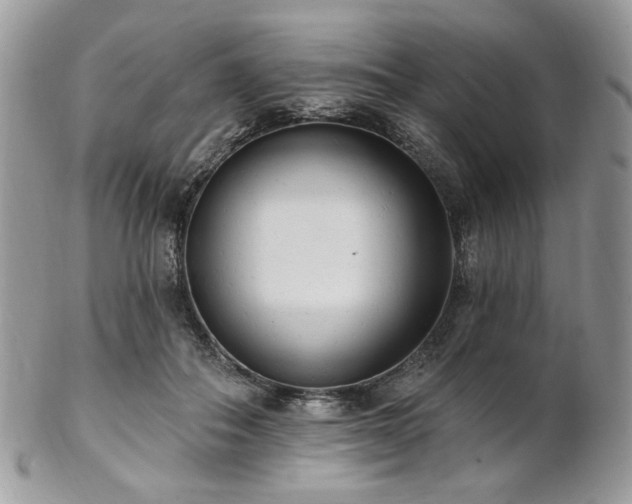 X0000102810506200808181226