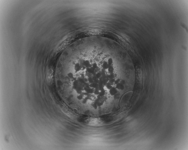 X0000102810507200808181226