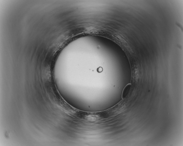 X0000102810508200808181226