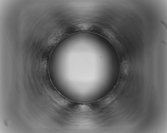 X0000102810509200808181226