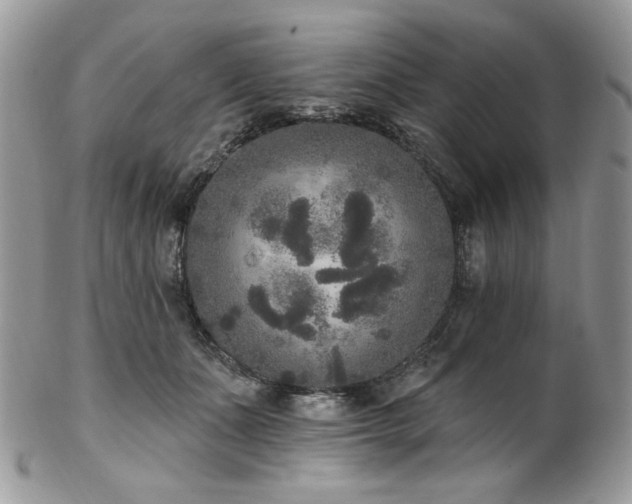 X0000102810511200808181226