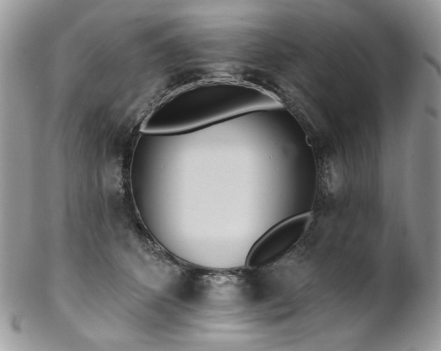 X0000102810512200808181226