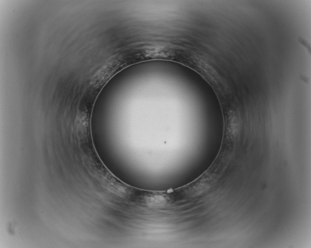 X0000102810513200808181226