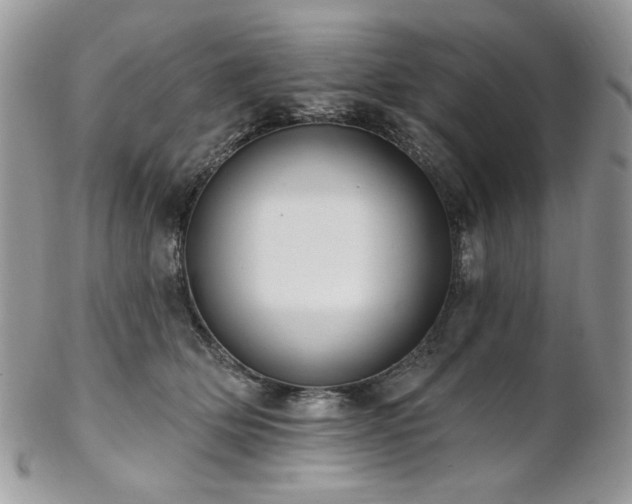 X0000102810514200808181226