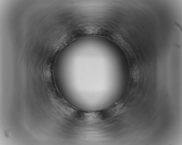 X0000102810516200808181226