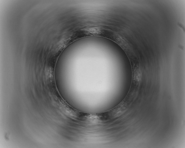 X0000102810518200808181226