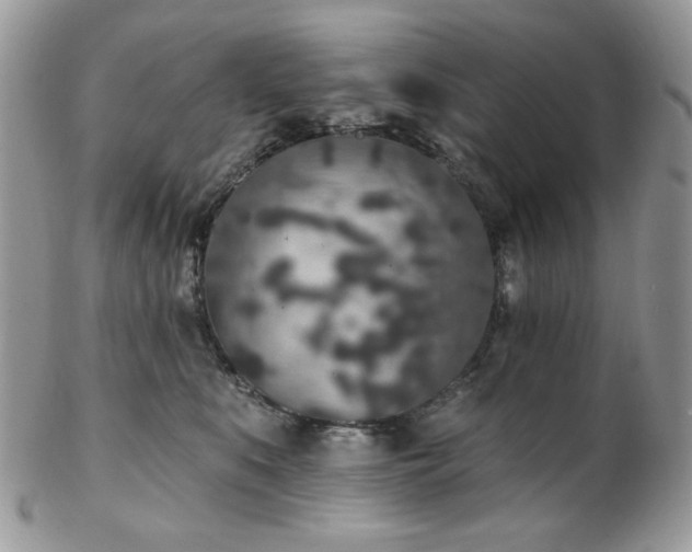 X0000102810519200808181226