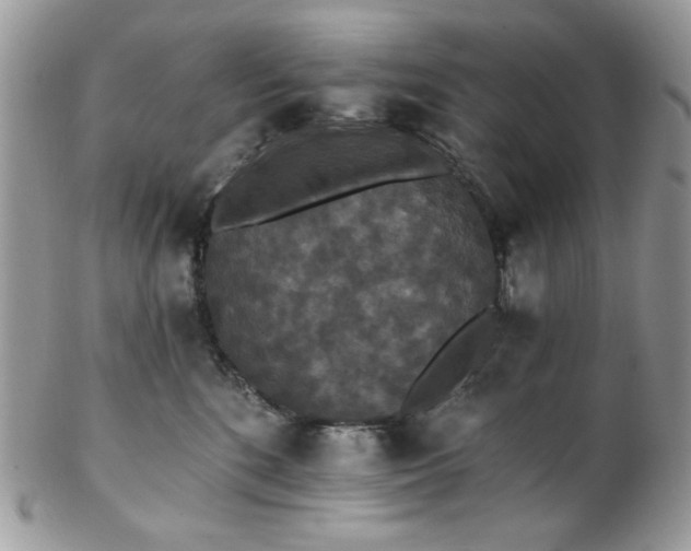 X0000102810520200808181226