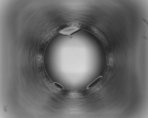 X0000102810521200808181226