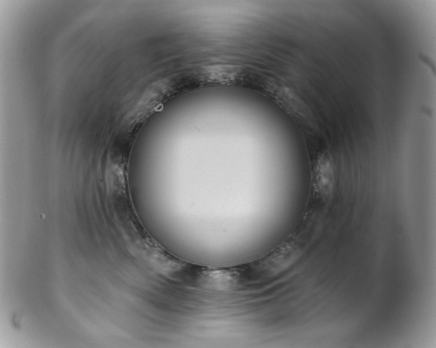 X0000102810522200808181226