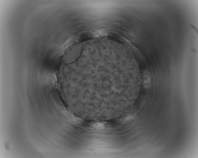 X0000102810523200808181226